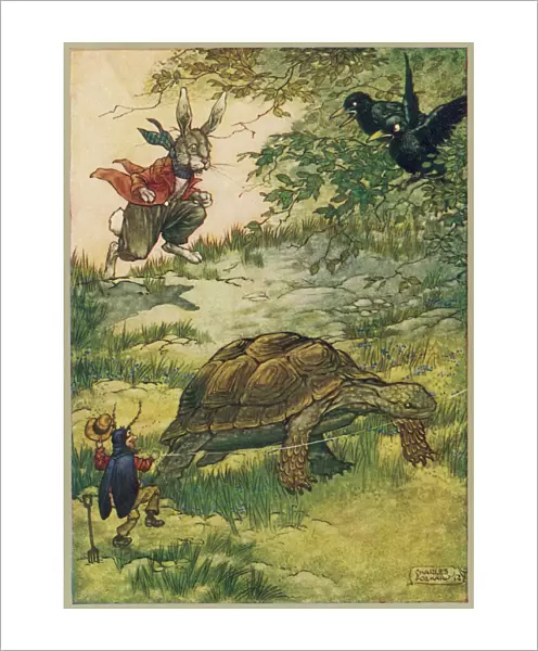 Tortoise and Hare (Fol)