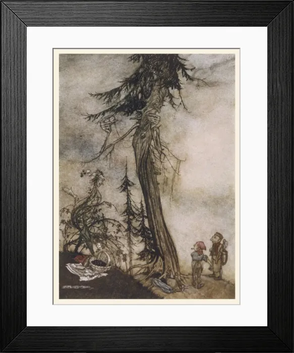 Framed Print : Fir Tree and Bramble Framed Print : Fir Tree and Bramble
