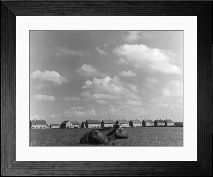 Framed Print : Fields and Housing Framed Print : Fields and Housing
