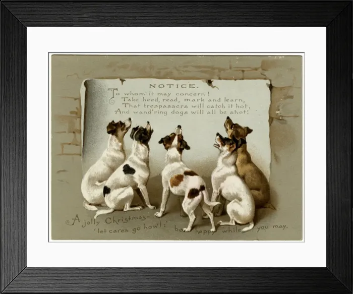Framed Print : Dogs Reading Notice Framed Print : Dogs Reading Notice