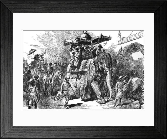 Framed Print : Edward Vii / India Framed Print : Edward Vii / India