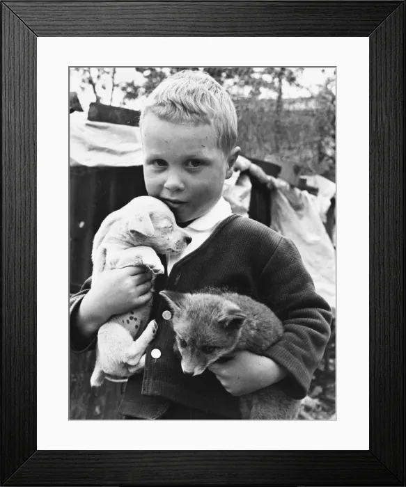 Framed Print : Boy, Puppy and Fox Framed Print : Boy, Puppy and Fox