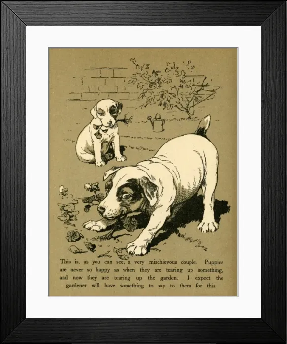 Framed Print : Dogs Playing in the Garden Framed Print : Dogs Playing in the Garden