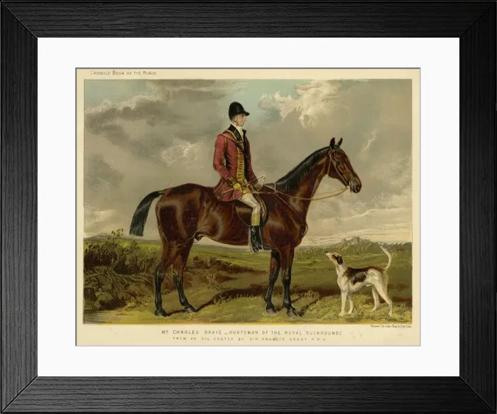 Framed Print : Horse / Charles Davis Framed Print : Horse / Charles Davis