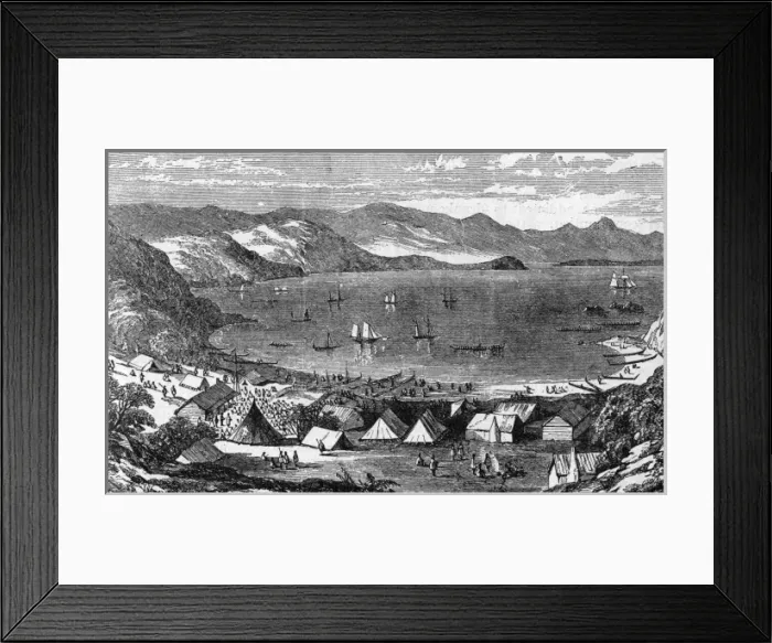 Framed Print : Gold / New Zealand / 1853 Framed Print : Gold / New Zealand / 1853