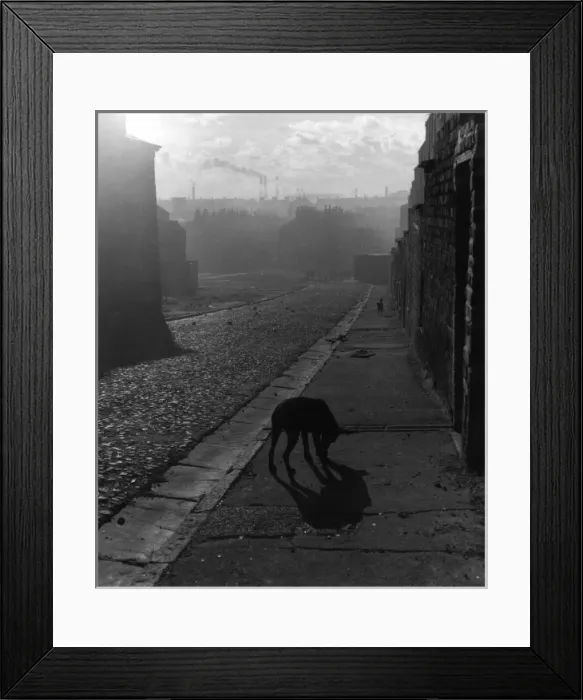 Framed Print : Dog in Liverpool Street Framed Print : Dog in Liverpool Street