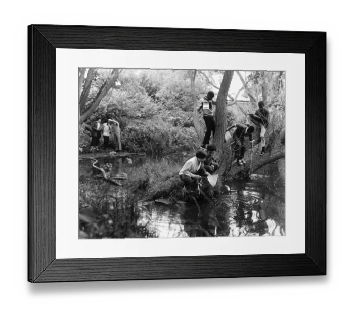 Framed Print : Children Study Pondlife Framed Print : Children Study Pondlife