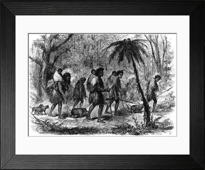 Framed Print : Maori Migration / Nz Framed Print : Maori Migration / Nz