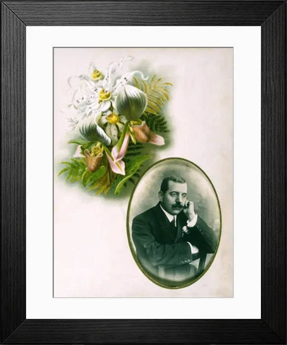 Framed Print : Photo Album Page 19C Framed Print : Photo Album Page 19C
