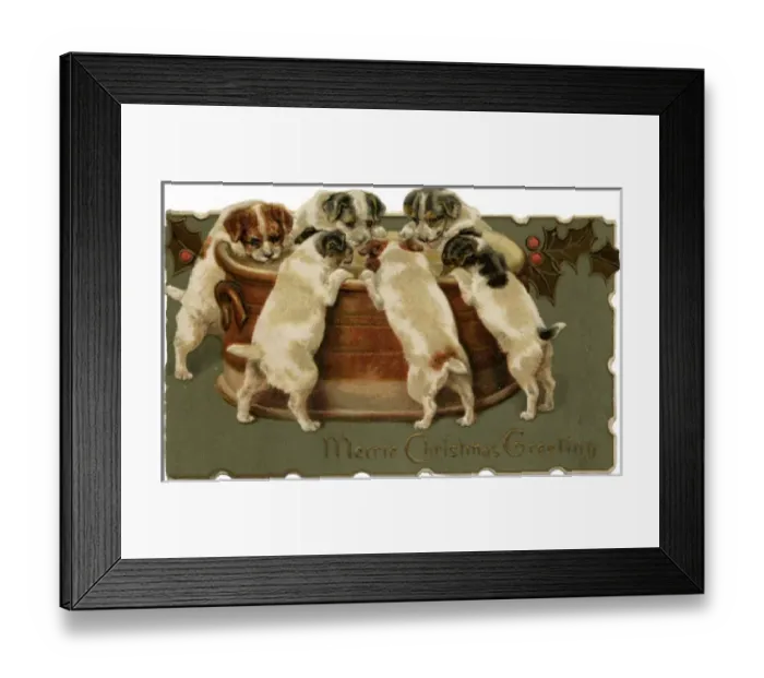 Framed Print : Pups Round a Bran Tub Framed Print : Pups Round a Bran Tub