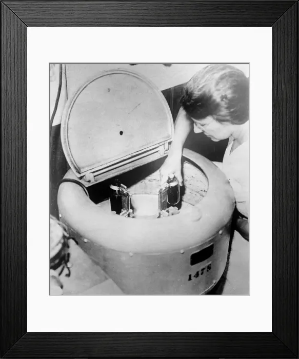 Framed Print : Cocoa Tester Framed Print : Cocoa Tester