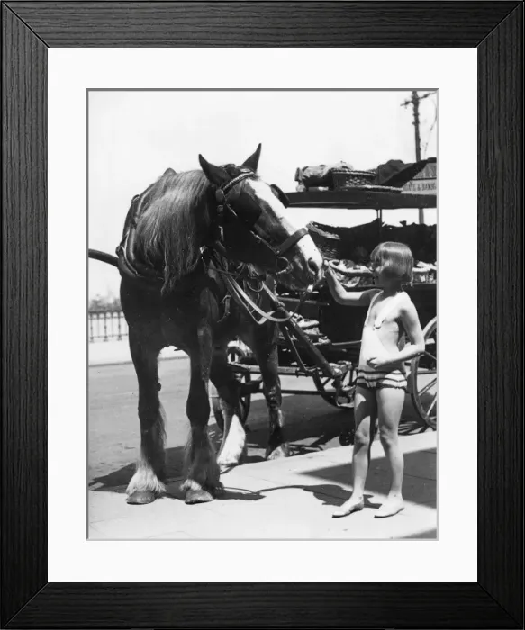 Framed Print : Working Horse Lunch Framed Print : Working Horse Lunch