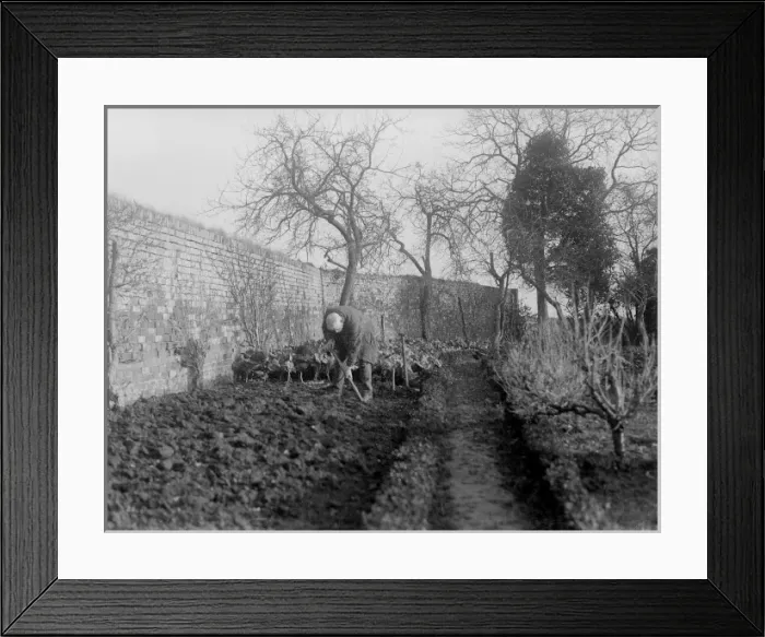 Framed Print : Digging the Garden Framed Print : Digging the Garden