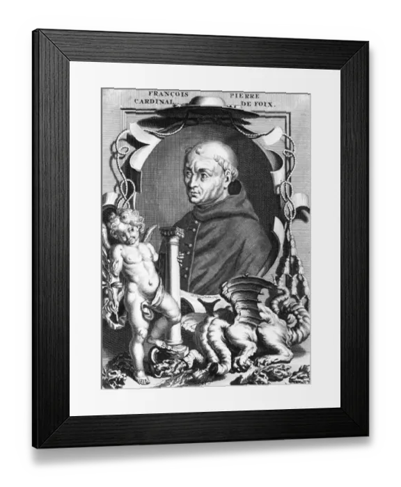Framed Print : Francois Pierre De Foix Framed Print : Francois Pierre De Foix