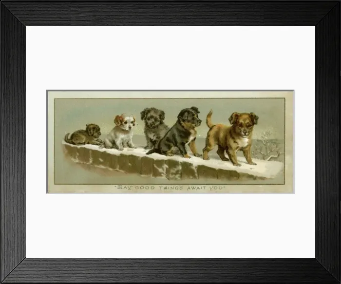 Framed Print : Puppies on a Snowy Wall Framed Print : Puppies on a Snowy Wall