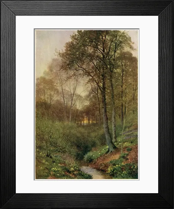 Framed Print : Stream at Brill Framed Print : Stream at Brill
