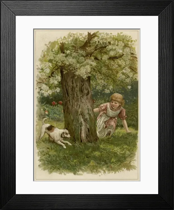 Framed Print : Hide and Seek with Dog Framed Print : Hide and Seek with Dog