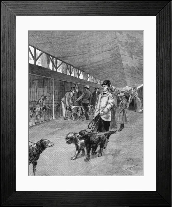 Framed Print : Showdogs in France Framed Print : Showdogs in France