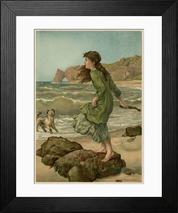 Framed Print : Throwing Sticks for Dog Framed Print : Throwing Sticks for Dog