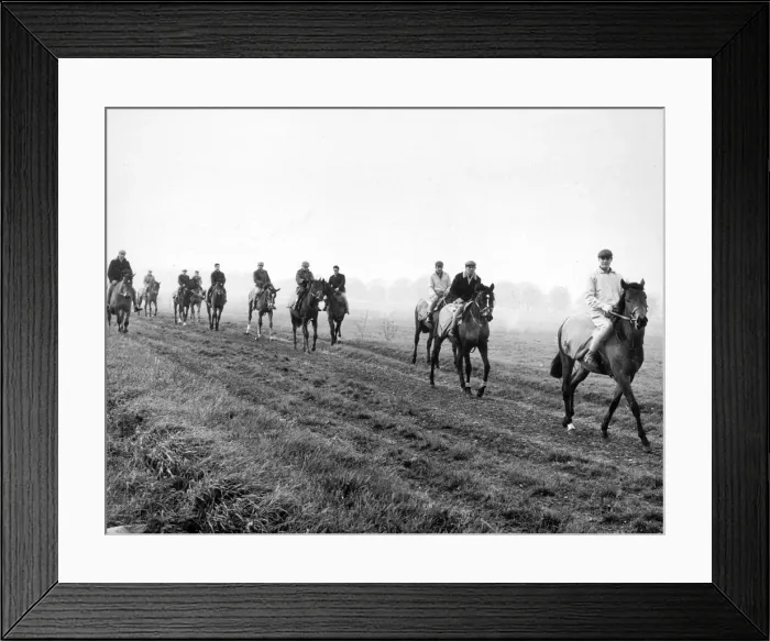 Framed Print : Newmarket Training 1962 Framed Print : Newmarket Training 1962