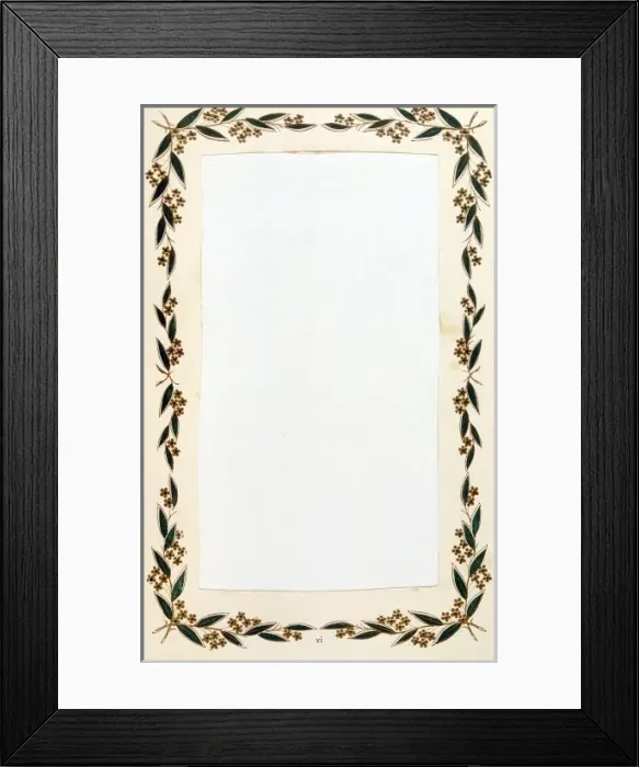 Framed Print : Leafy Surround Framed Print : Leafy Surround