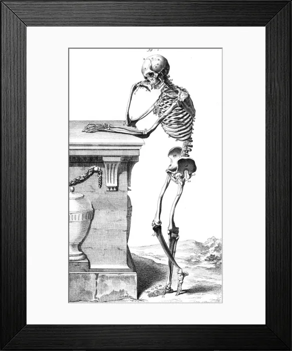 Framed Print : Skeleton from the Side Framed Print : Skeleton from the Side