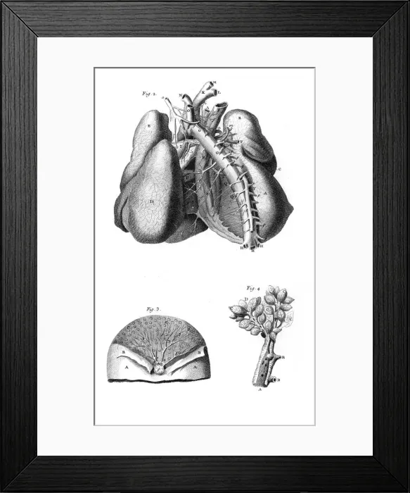 Framed Print : Picture No. 10158218 Framed Print : Picture No. 10158218