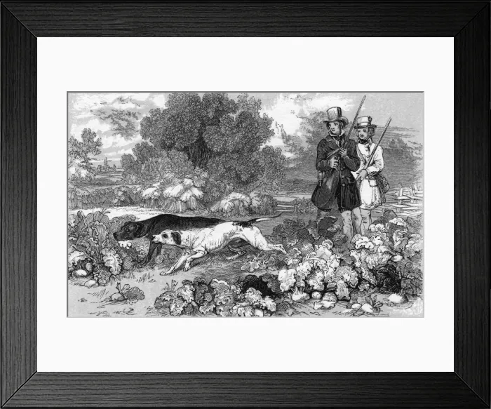 Framed Print : Shooting Partridge (Harv Framed Print : Shooting Partridge (Harv