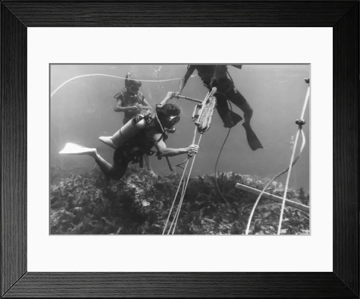 Framed Print : Diving, Malta 1969 Framed Print : Diving, Malta 1969