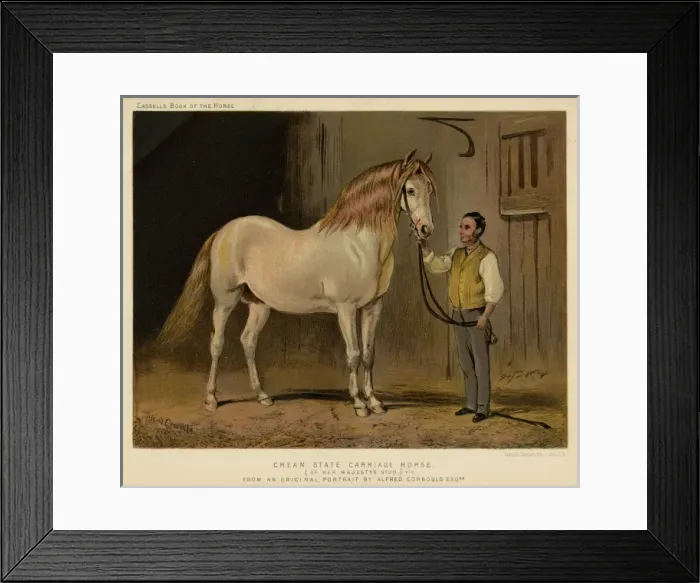 Framed Print : Horse Carriage Framed Print : Horse Carriage