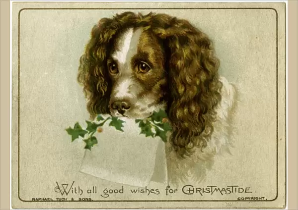 Dog with Card and Holly