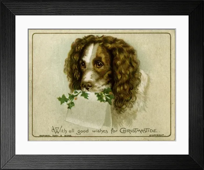 Framed Print : Dog with Card and Holly Framed Print : Dog with Card and Holly