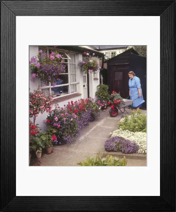 Framed Print : Colourful Garden Framed Print : Colourful Garden