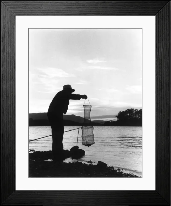 Framed Print : Lifting up the Keepnet Framed Print : Lifting up the Keepnet