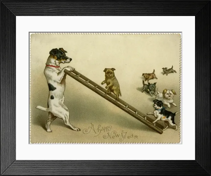 Framed Print : Dogs and Ladder Framed Print : Dogs and Ladder