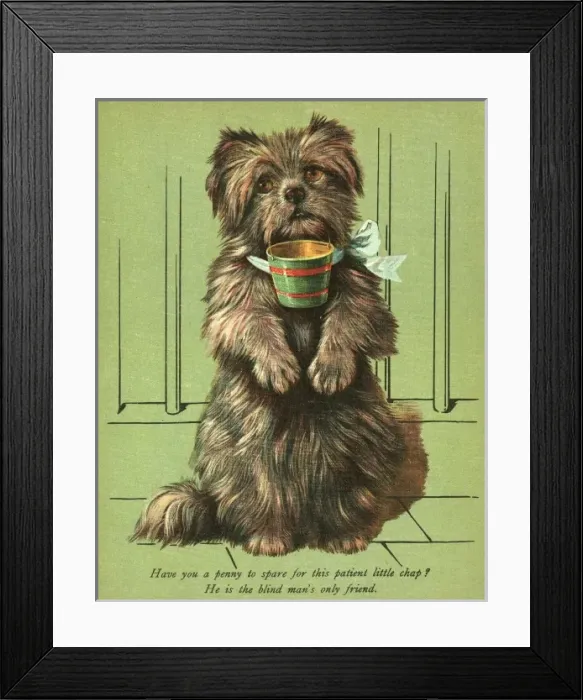 Framed Print : Dog Begging with Cup Framed Print : Dog Begging with Cup