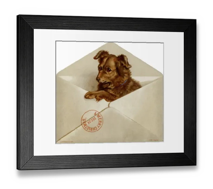 Framed Print : Xmas Dog in Envelope Framed Print : Xmas Dog in Envelope