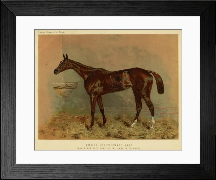 Framed Print : Emblem (Racehorse) Framed Print : Emblem (Racehorse)