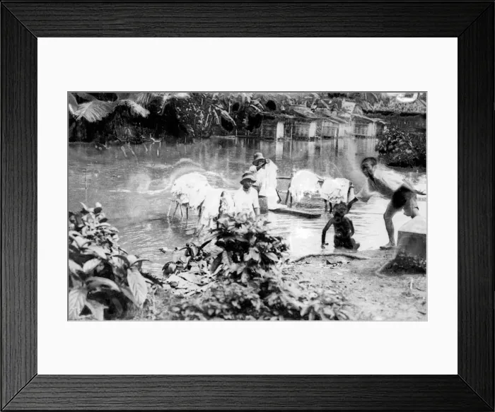 Framed Print : Washing in East Indies Framed Print : Washing in East Indies
