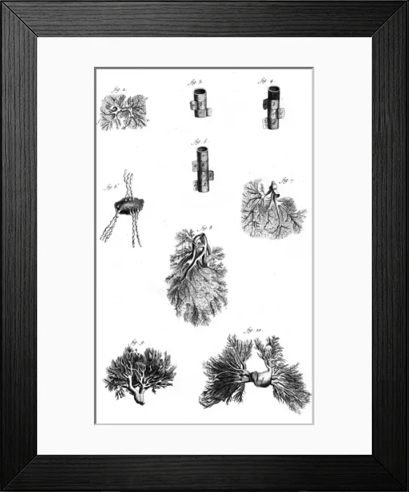 Framed Print : Picture No. 10158183 Framed Print : Picture No. 10158183
