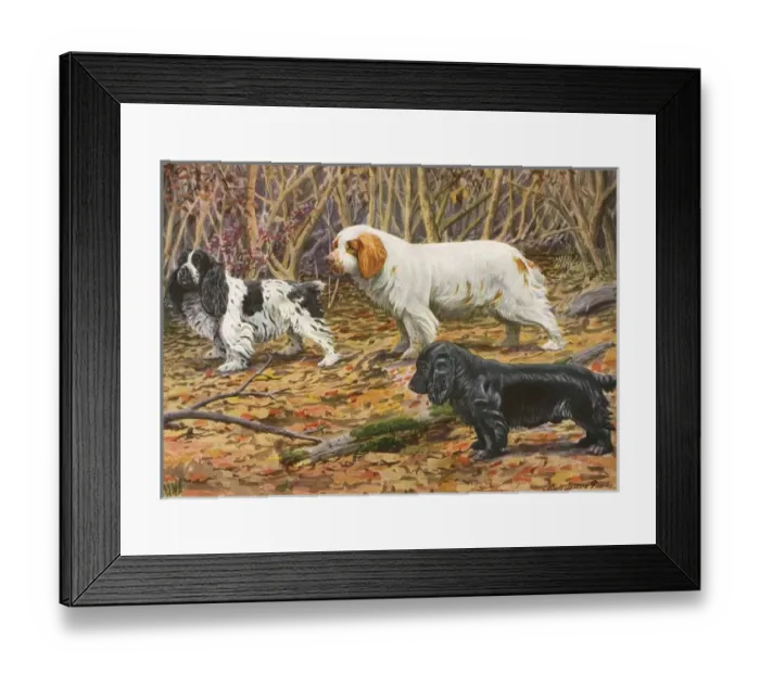 Framed Print : Spaniels (Puertes) Framed Print : Spaniels (Puertes)