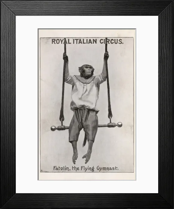 Framed Print : Picture No. 10487100 Framed Print : Picture No. 10487100