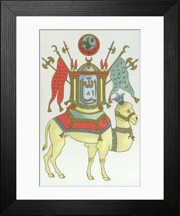 Framed Print : Decorated Camel - Syria Framed Print : Decorated Camel - Syria