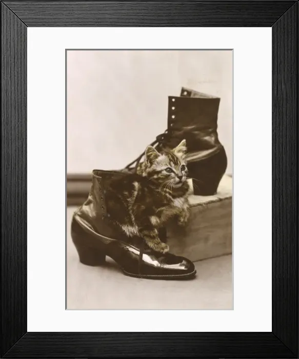 Framed Print : Picture No. 10487077 Framed Print : Picture No. 10487077
