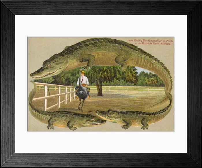 Framed Print : Picture No. 10487102 Framed Print : Picture No. 10487102