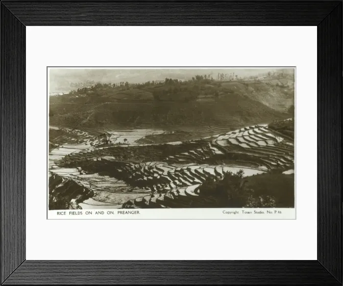 Framed Print : Indonesia - Java - Rice Fields at Preanger Framed Print : Indonesia - Java - Rice Fields at Preanger