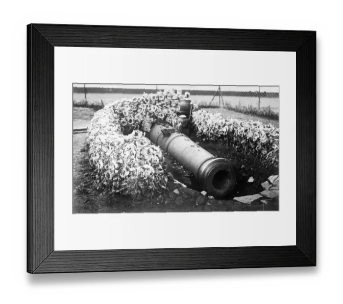 Framed Print : Sacred Canon, Java Framed Print : Sacred Canon, Java