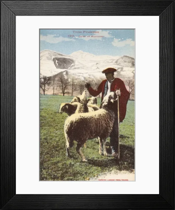 Framed Print : Pyrenean Shepherd and his flock Framed Print : Pyrenean Shepherd and his flock