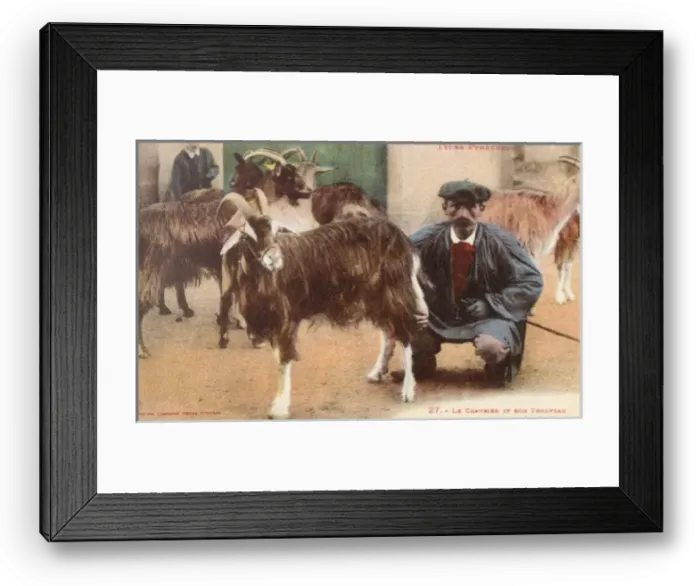 Framed Print : Pyrenean Goat Shepherd and his Flock Framed Print : Pyrenean Goat Shepherd and his Flock