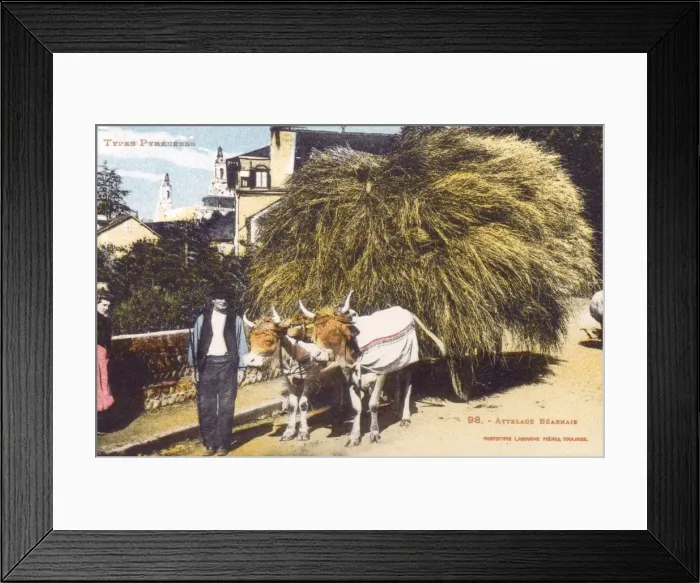 Framed Print : Farmer and laden ox cart Framed Print : Farmer and laden ox cart